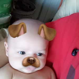 Meet your Posher, Austin